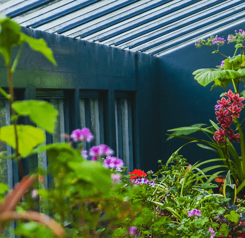 Imagem de uma estufa cheio de plantas diferentes